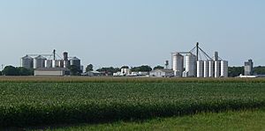 Grain bins in Byron, seen from the south