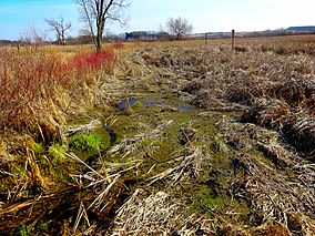 Capital Springs State Recreation Area - panoramio (2).jpg