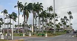 Cayenne Place des palmistes.jpg