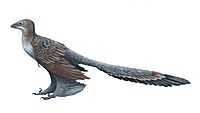 Changyuraptor.jpg
