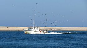 Chatham Beach, Massachusetts. - panoramio (7).jpg