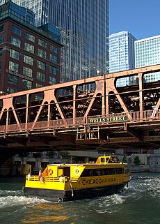 Chicagowatertaxiunderbridge