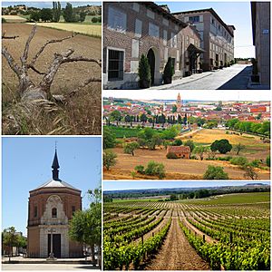 Images of Rueda, a typical village of the province of Valladolid.
