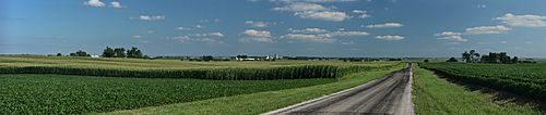 Corn fields near Royal, Illinois