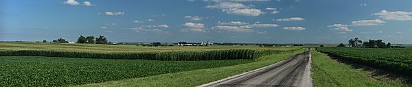 Corn fields near Royal, Illinois