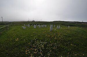 CowHeadNL OldAnglicanCemetery