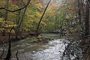 Craig Creek, on border of Brush Mountain Wilderness, near Va 635