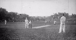 Cricket in Riverdale Park in Toronto