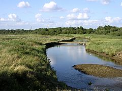 Dark Water river and marsh, Lepe Country Park - geograph.org.uk - 33306.jpg