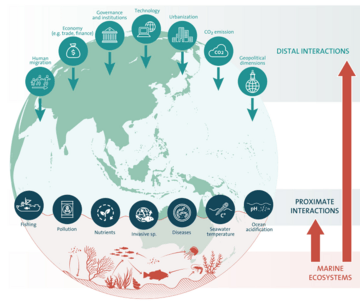 Drivers of change in marine ecosystems