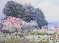 Edith Helena Adie - Bank of rhododendrons
