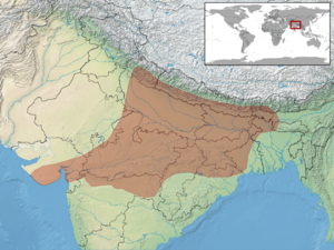 Elachistodon westermanni distribution.png