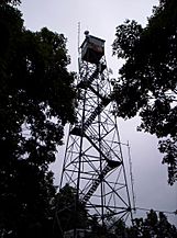 Fire Tower @ Woody's Knob