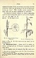 Foundations of botany (Page 75) BHL23641903