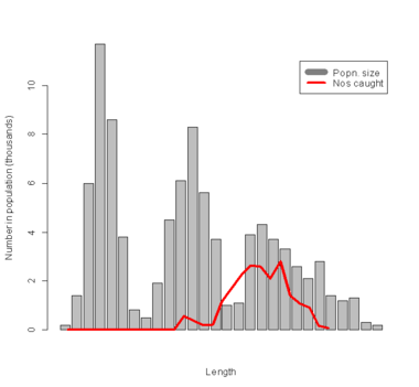 Gillnet selectivity