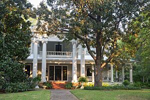 Griffith House Terrell Wiki