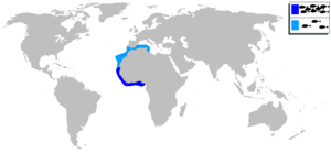 Halobatrachus didactylus mapa.svg