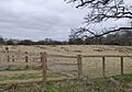 High Meadow