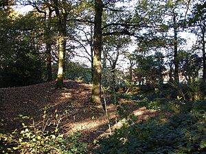 Hobs Moat Ancient Monument - geograph.org.uk - 85091
