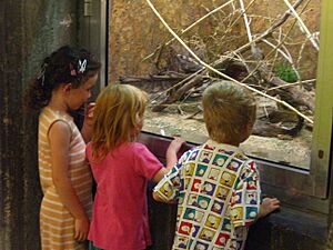 Jerusalem Zoo snake exhibit