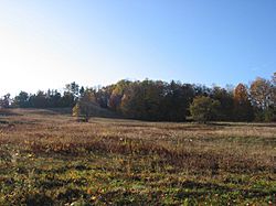 A typical field in Plainfield, Massachusetts