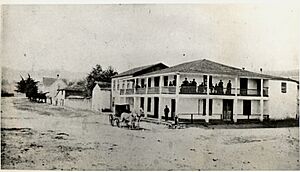 Larkin-house-c1890