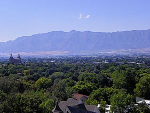 Logan from usu