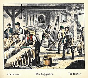 Lohgerber 1880