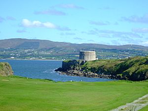 Martello Tower - geograph.org.uk - 1353269