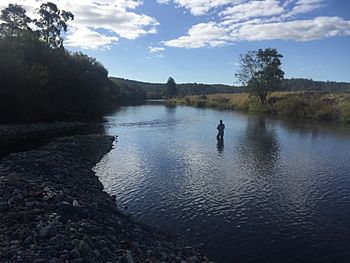 Mersey River, Tasmania 01.jpg