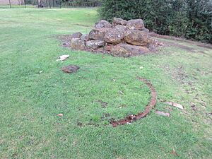 Mittagong Mineral Springs Reserve - Oct.2018