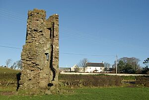 Montfode Castle and farm - geograph.org.uk - 1086132