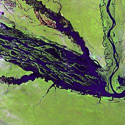 Satellite picture of part of lake Jaú.
