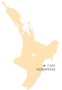 NZ-C Kidnappers