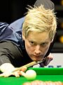 Neil Robertson at Snooker German Masters (DerHexer) 2015-02-05 02 (cropped)