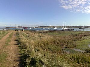 Newtown Bay