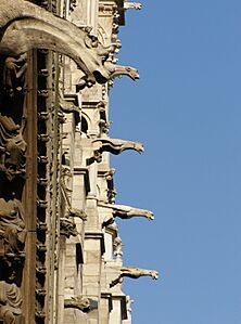 Notre-Dame Rzygacze