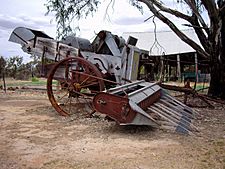Old Style Harvester