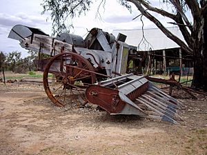 Old Style Harvester