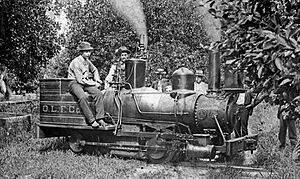 Orange Lake Fruit Company, 18 inch gauge tramway (Collection of Mike O'Neal)