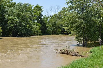 Ottawa River at Rimer, downstream during flooding