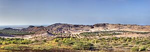 Pan19