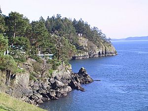 A view of North Pender Island's shoreline