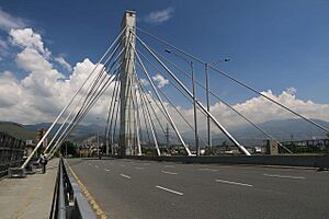 Puente de la 4 sur, 2019