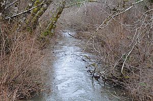 Rogue river (south yamhill river).jpg