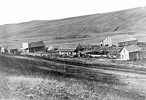 Rosalia, Washington (1880)