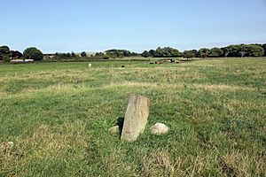 Rubbing Stone on Prestatyn Castle Motte (geograph 4652521)