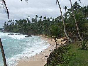 São Tomé - Ilhéu das Rolas - Praia de Santo António (3)