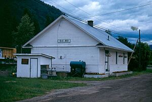 Salmo station 1993