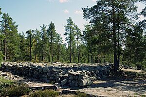 Sammallahdenmäki 2